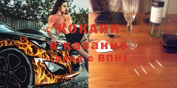 индика Дмитров