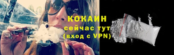 дмт Ленск