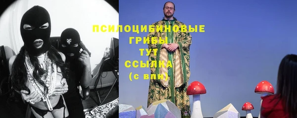 индика Дмитров