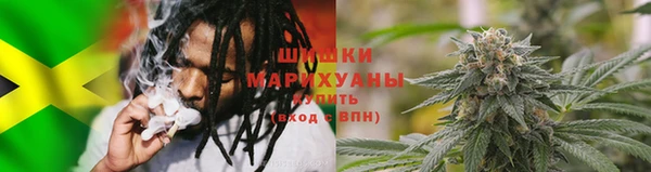 индика Дмитров