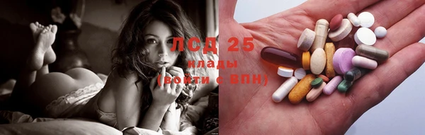 индика Дмитров