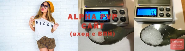 индика Дмитров