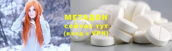 индика Дмитров