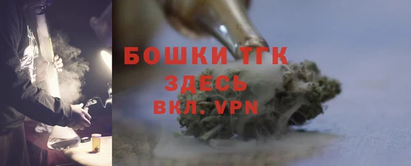 индика Дмитров