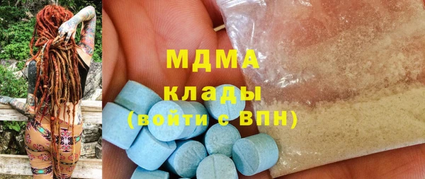 индика Дмитров