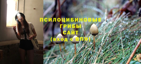 спиды Дмитровск