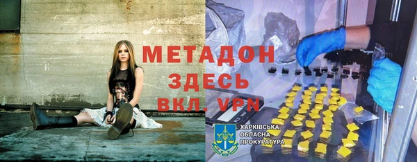 индика Дмитров