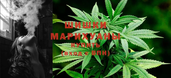 индика Дмитров