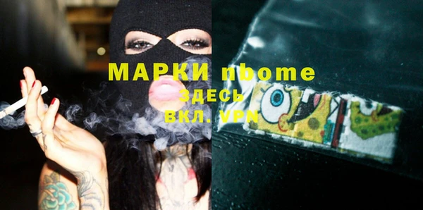 индика Дмитров