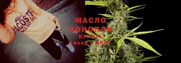 индика Дмитров